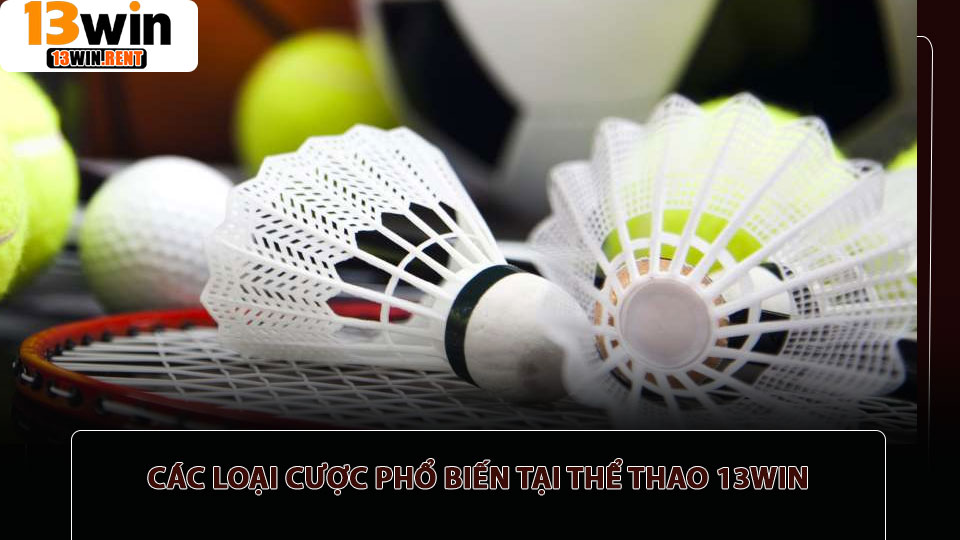 Các loại cược phổ biến tại Thể thao 13win